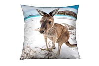 Kangaroo