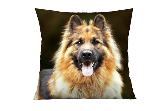 Dekorační polštářky Alsatian