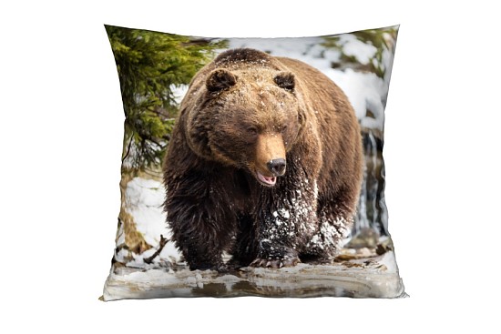Dekorační polštářky Bear