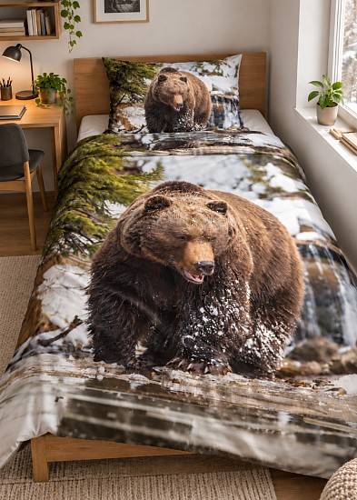 Bear