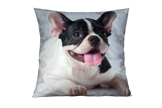 Dekorační polštářky Bulldog