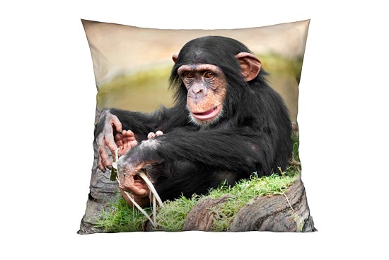 Dekorační polštářky Chimpanzee
