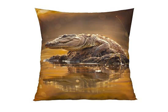Dekorační polštářky Crocodile