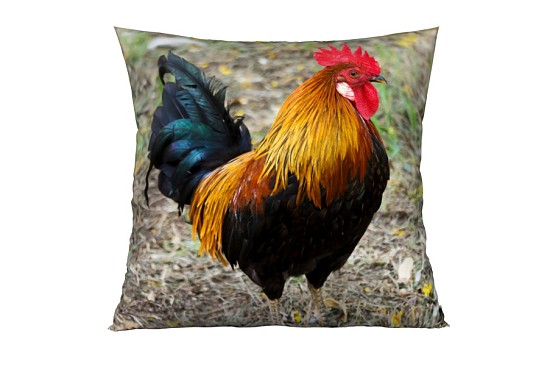 Dekorační polštářky Gallo