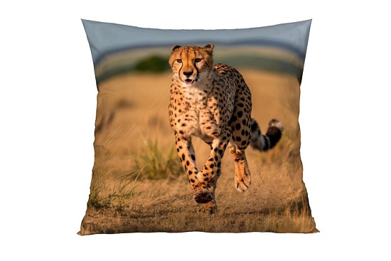 Dekorační polštářky Gepard