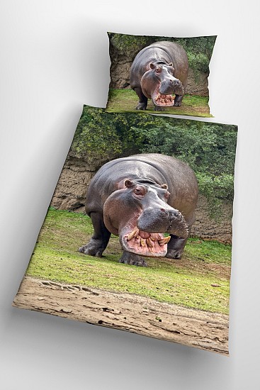 Hippo