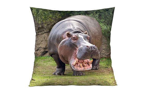 Dekorační polštářky Hippo