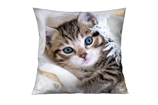 Dekorační polštářky Kitty