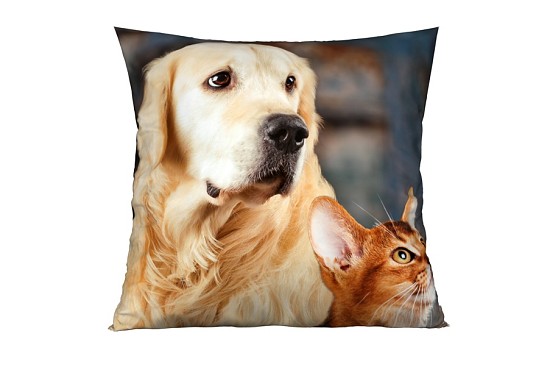 Dekorační polštářky Labrador