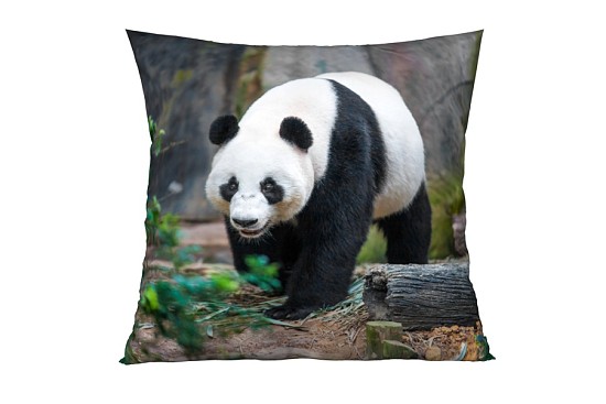 Dekorační polštářky Panda