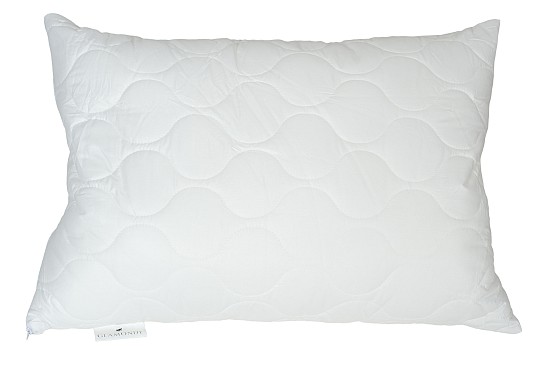 Pegas 60x40