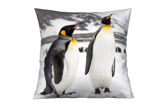 Dekorační polštářky Pinguino