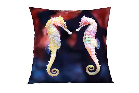 Dekorační polštářky Seahorse