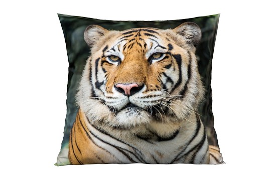 Dekorační polštářky Tiger