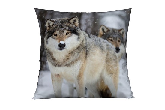 Dekorační polštářky Wolf