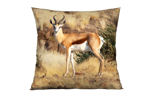 Antilope