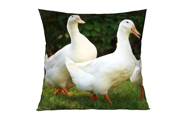 Goose