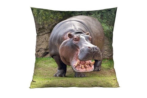 Hippo
