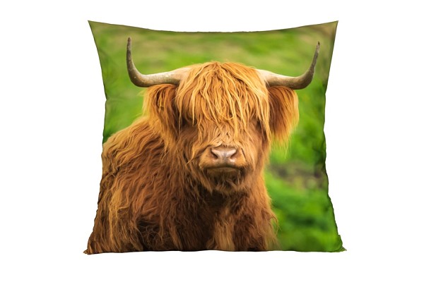Yak